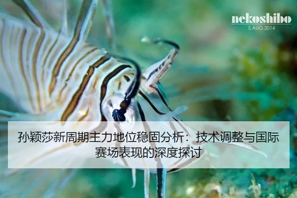 sun-ying-sha-xin-zhou-qi-zhu-li-di-wei-wen-gu-fen-xi-ji-shu-tiao-zheng-yu-guo-ji-sai-chang-biao-xian-de-shen-du-tan-tao-2-785.jpg